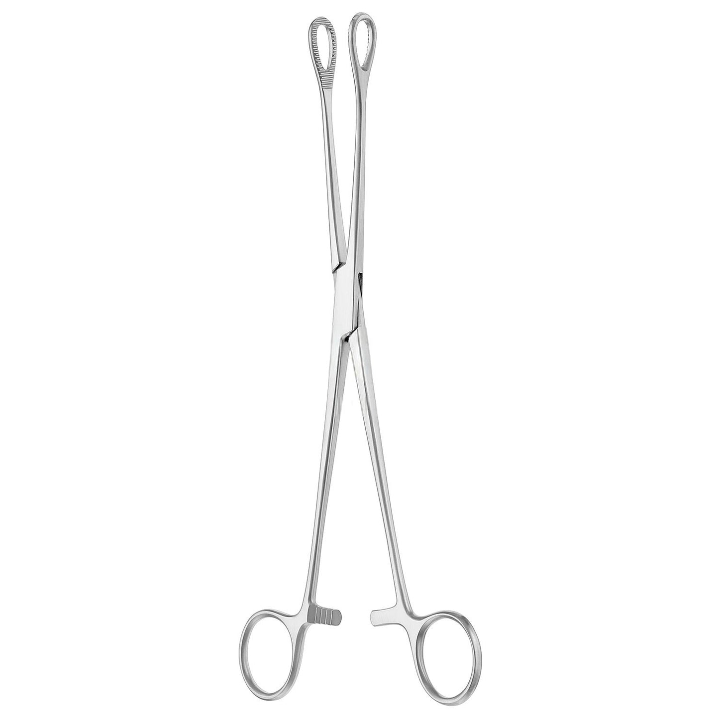 Foerster tang lige, savtakket 18 cm