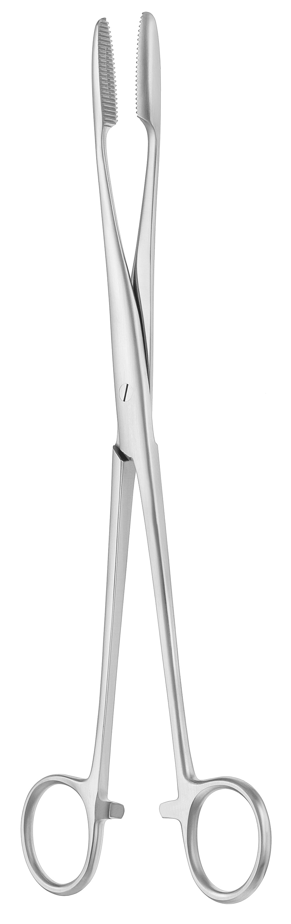 Tang Gross-Maier med skralde lige 25 cm