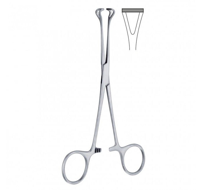 Babcock 16cm